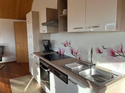 Küche/Küchenzeile in der Unterkunft Apartment Vinomna