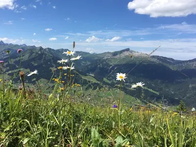 Naturlandschaft in der Nähe der Ferienwohnung
