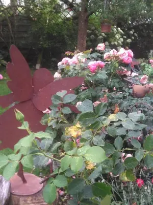 Ein Garten an der Unterkunft „Lebenslust“