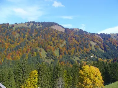 Naturlandschaft in der Nähe der Ferienwohnung