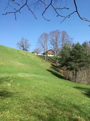 Naturlandschaft in der Nähe der Ferienwohnung