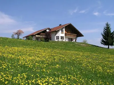 Ein Garten an der Unterkunft Ferienwohnungen Pension Sonnblick