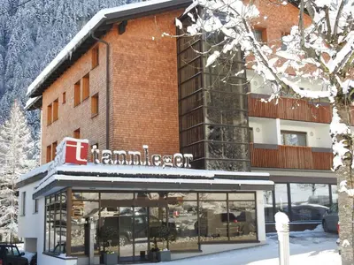 Hotel Garni Tannleger B&B im Winter