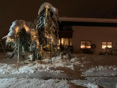 Zani Helga im Winter