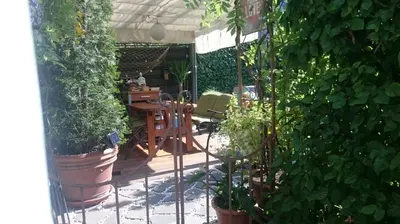 Ein Garten an der Unterkunft Ferienappartment 