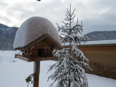 Appartement Isabella im Winter
