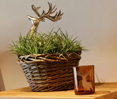 Grundriss der Unterkunft Rufana Lodge