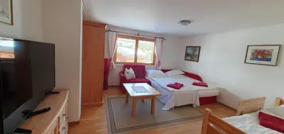 TV/Unterhaltungsangebot in der Unterkunft Haus Johanneshof 1604