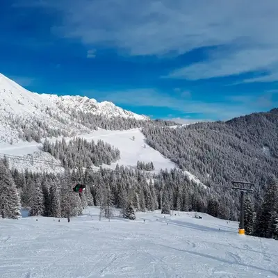 Landal Chalet Matin