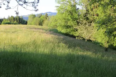 Naturlandschaft in der Nähe der Ferienwohnung
