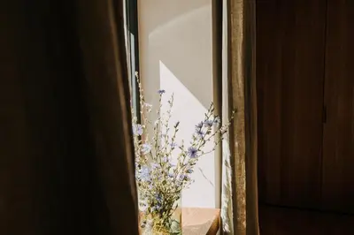 Grundriss der Unterkunft Hotel Bären