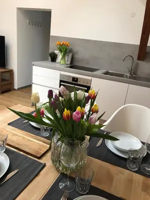 Küche/Küchenzeile in der Unterkunft mama käthe - Apartments