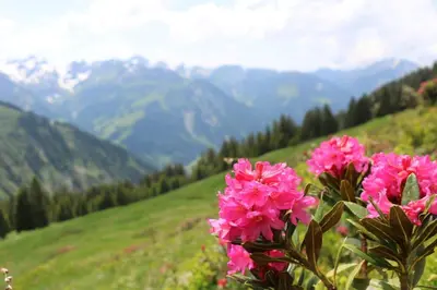 Naturlandschaft in der Nähe der Ferienwohnung