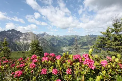 Naturlandschaft in der Nähe der Pension