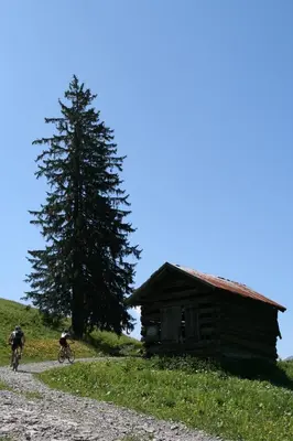 Naturlandschaft in der Nähe der Pension