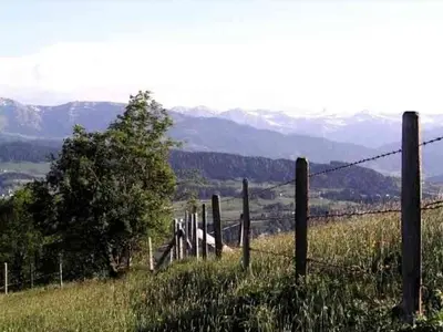 Naturlandschaft in der Nähe der Ferienwohnung