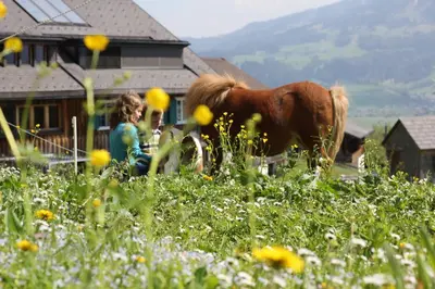 Tiere in diesem Bauernhof oder in der Nähe