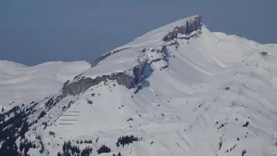 Adlernest im Winter