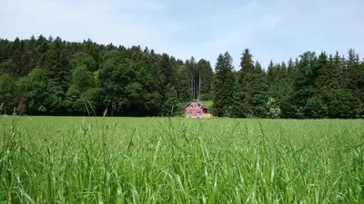 Naturlandschaft in der Nähe der Ferienwohnung