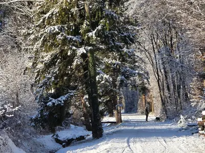 Gardenia-Altach, 2-4 P, Küche, Garten, Terrasse, Parkplatz, Wifi, Ski Stellplatz im Winter