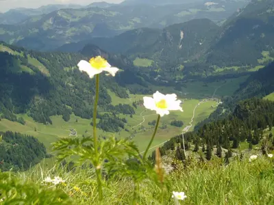Naturlandschaft in der Nähe der Ferienwohnung