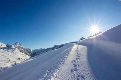 Hotel Adler im Winter