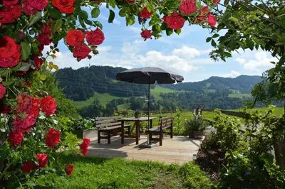 Naturlandschaft in der Nähe der Ferienwohnung