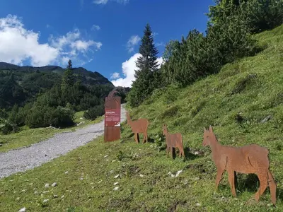 Tiere in der Ferienwohnung oder in der Nähe