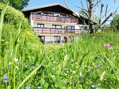 Ein Garten an der Unterkunft Ferienwohnung Tschengla mit eigener Sonnenterrasse - Wiese - Wlan