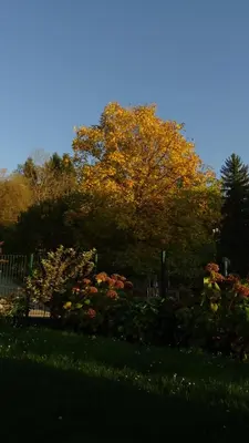 Ein Garten an der Unterkunft Appartement Elisa