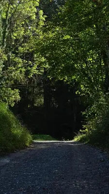 Naturlandschaft in der Nähe der Ferienwohnung