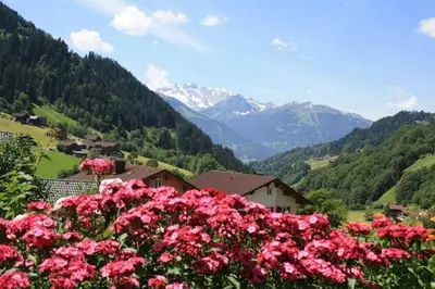 Naturlandschaft in der Nähe der Ferienwohnung