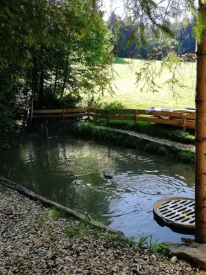 Naturlandschaft in der Nähe der Ferienwohnung