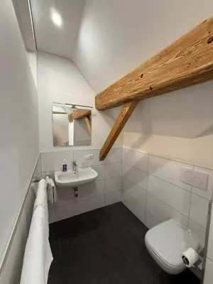 Ein Badezimmer in der Unterkunft Hotel Pension Löwen nahe Feldkirch - günstige Zimmer für Urlauber, Firmen und Monteure