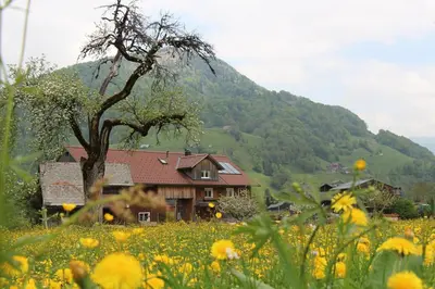 Naturlandschaft in der Nähe der Ferienwohnung