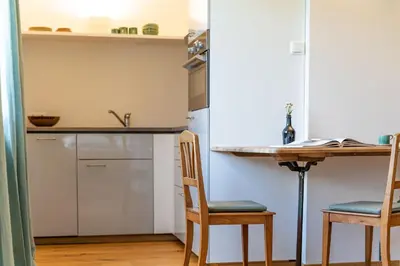 Küche/Küchenzeile in der Unterkunft Alpinikum Apartments