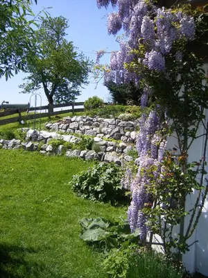Ein Garten an der Unterkunft Ferienwohnungen Frick
