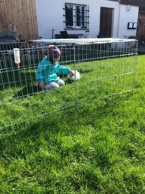 Ein Garten an der Unterkunft Ferienwohnung Auszeit