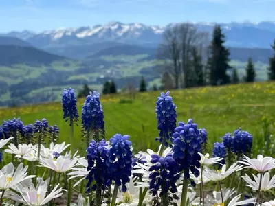 Ein allgemeiner Bergblick oder ein Berglick von der Pension aus