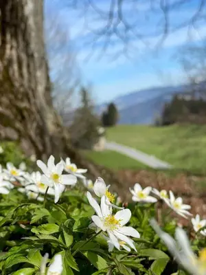 Naturlandschaft in der Nähe der Pension