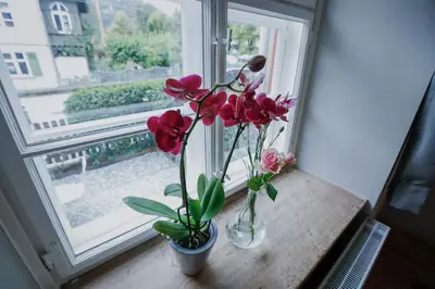 Grundriss der Unterkunft Clara Erdgeschosswohnung im Jüdischen Viertel