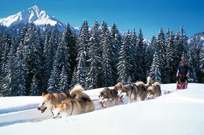 Hotel Adler Garni im Winter