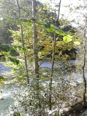 Naturlandschaft in der Nähe der Ferienwohnung