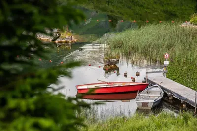 Naturlandschaft in der Nähe der Ferienwohnung