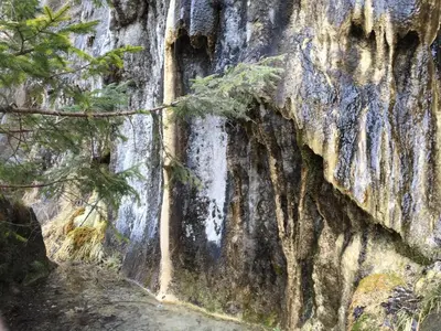 Naturlandschaft in der Nähe der Pension