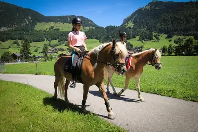 Tiere in der Ferienwohnung oder in der Nähe