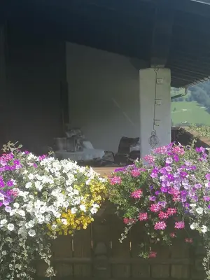 Ein Garten an der Unterkunft Haus Schwarzmann
