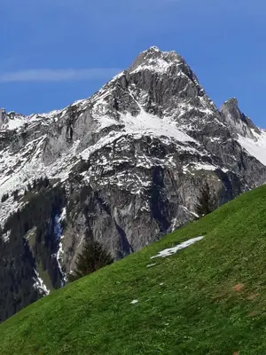Ein allgemeiner Bergblick oder ein Berglick von der Ferienwohnung aus