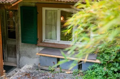 Ein Garten an der Unterkunft Wood Lodge