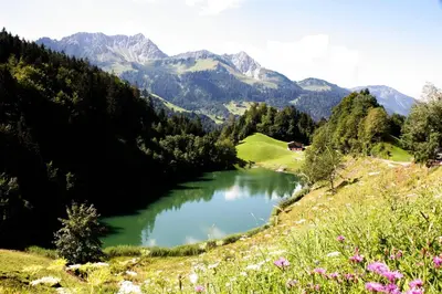 Naturlandschaft in der Nähe des Privatzimmers